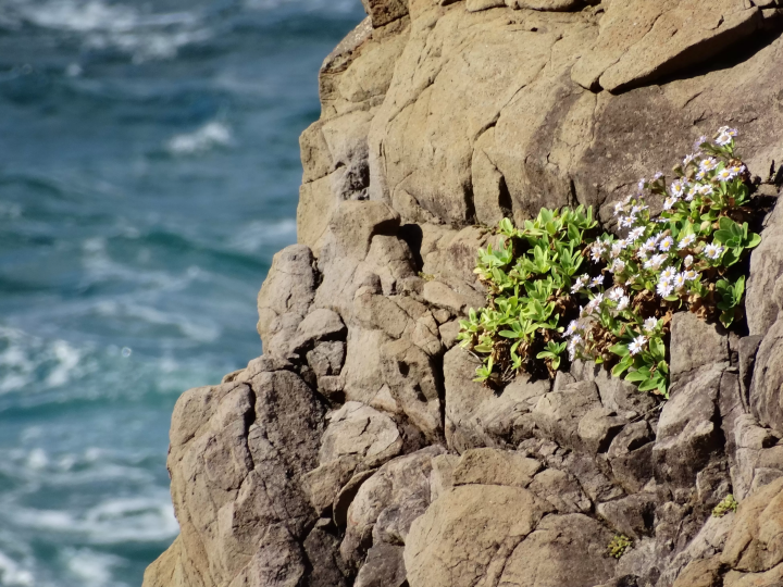 【Must-See】Nishinoshima in Autumn: Our Seasonal Colours