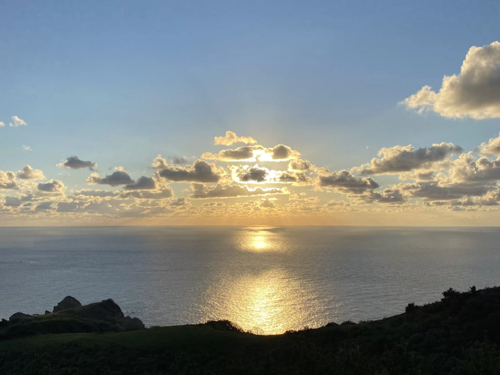 【Must-See】Nishinoshima in Autumn: Our Seasonal Colours