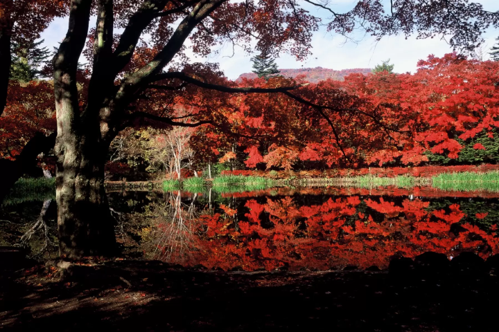 [Karuizawa, Kusatsu, and Manza] Winter Highland Resort Trip from Tokyo - Enjoy Hot Springs, Nature, and Fine Cuisine