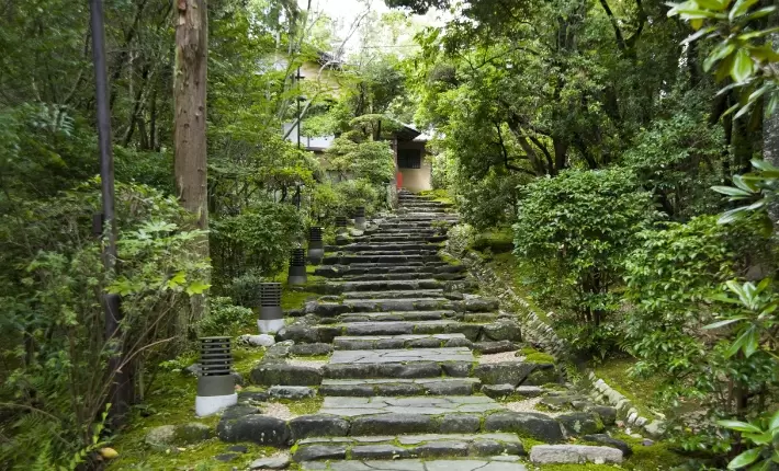 (Latest) Introducing Nara's traditional Japanese restaurant "Hyakurakuso," perfect for celebrations and special occasions!