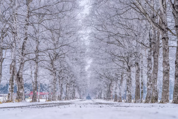 Hokkaido Tourism Organization 