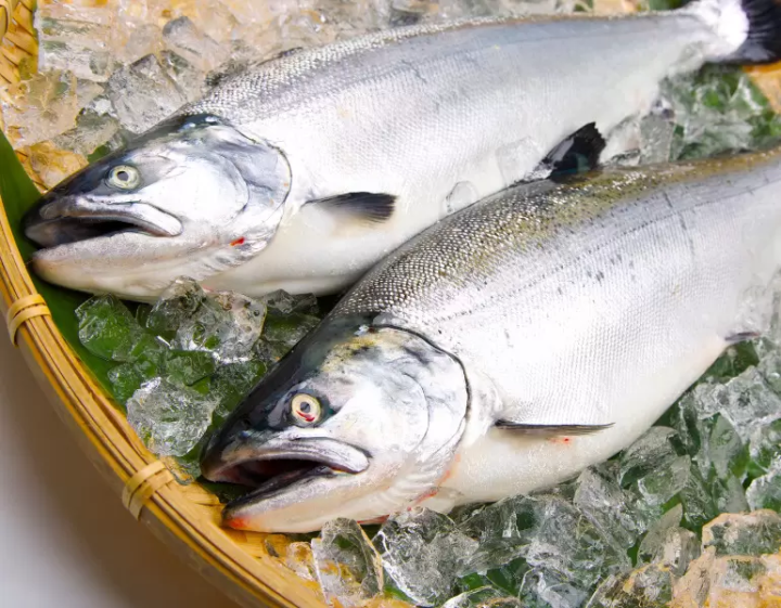 If you come to Toyama, you'll want to try these delicious foods!