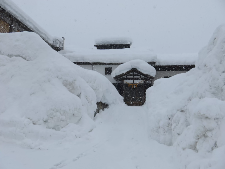 ความภาคภูมิใจของท้องถิ่น! เยี่ยมชมเสน่ห์ของโรงเหล้าสาเกที่ยังคงรักษาประเพณี... โรงเหล้าสาเก ทามาคาวะ และเอจิโกะ ยูกิคุระคัง