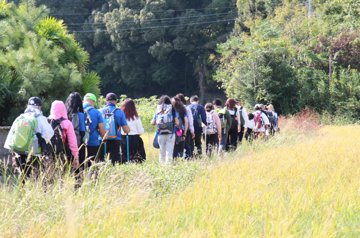 朝圣之路上的秋色。微风拂面，令人心旷神怡。<br> 
