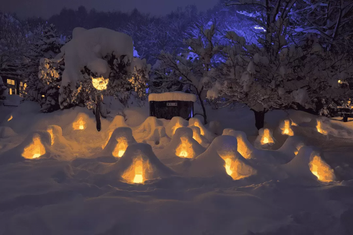 Kanto Snow Festivals 2025: Accessible from Tokyo | English-Guided Tours Included