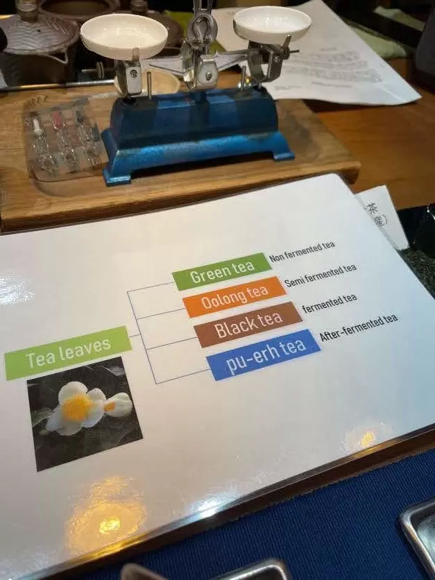 Dive into the World of Tea at Chaju Green Tea Store!