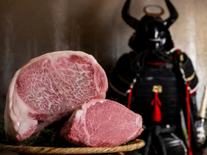 Shinjuku: Exciting Things to Do From Morning to Night