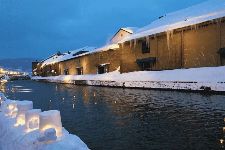 Kanto Snow Festivals 2025: Accessible from Tokyo | English-Guided Tours Included