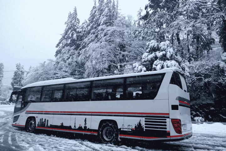 Kanto Snow Festivals 2025: Accessible from Tokyo | English-Guided Tours Included