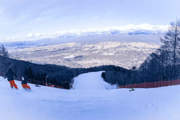 Kanto Snow Festivals 2025: Accessible from Tokyo | English-Guided Tours Included