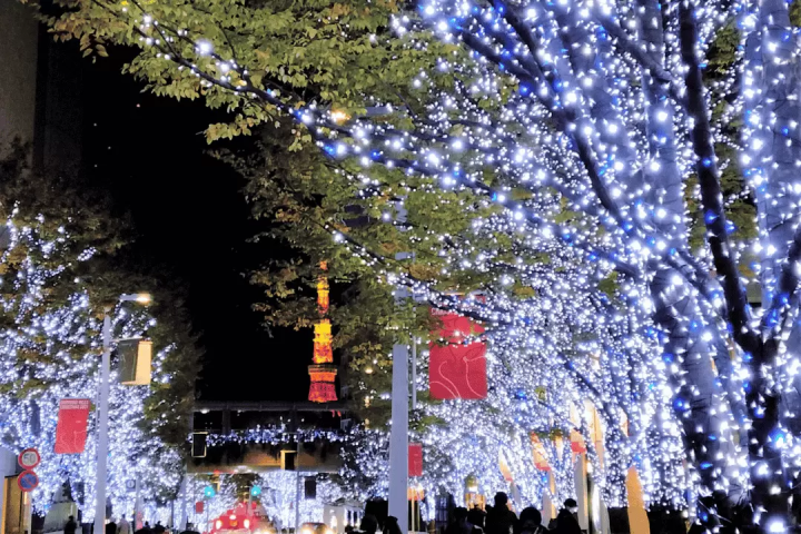 14 Things to Do in Tokyo in Winter: Experiences, Sightseeing, Events, and Food