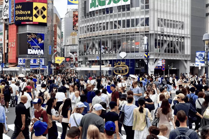 14 Things to Do in Tokyo in Winter: Experiences, Sightseeing, Events, and Food