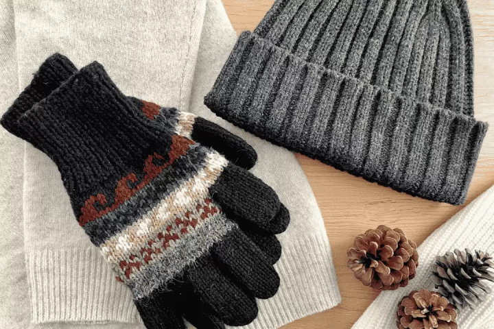 14 Things to Do in Tokyo in Winter: Experiences, Sightseeing, Events, and Food