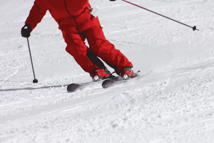 A one-day ski tour from Tokyo! Experience Japow with an English or Chinese guide