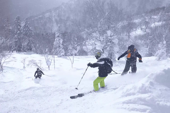 A one-day ski tour from Tokyo! Experience Japow with an English or Chinese guide