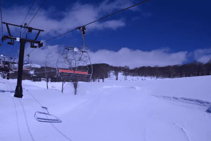 A one-day ski tour from Tokyo! Experience Japow with an English or Chinese guide
