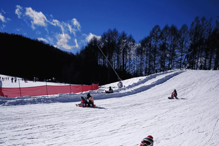 A one-day ski tour from Tokyo! Experience Japow with an English or Chinese guide