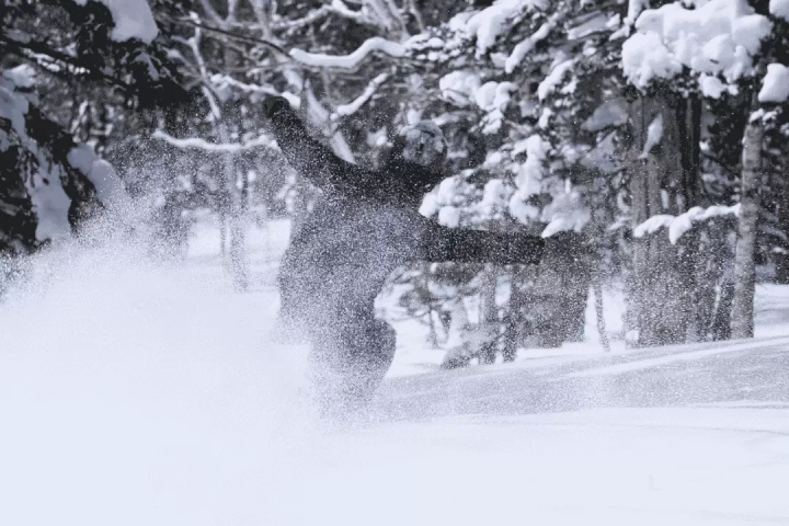 A one-day ski tour from Tokyo! Experience Japow with an English or Chinese guide