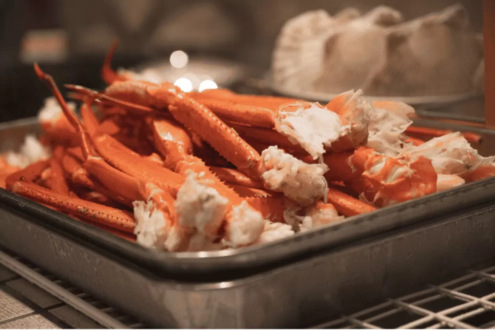 Ski tour departing from Tokyo | Chinese and English guides included, even beginners can feel at ease!