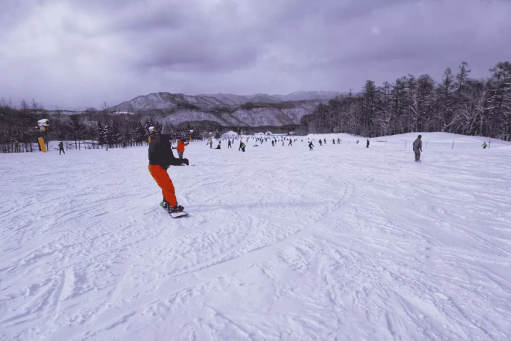 Ski tour departing from Tokyo | Chinese and English guides included, even beginners can feel at ease!