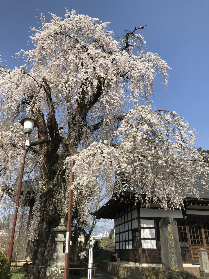 [Gunma Prefecture, Nakanojo Town] Tour from JR Nakanojo Station! Collecting Goshuin Stamps