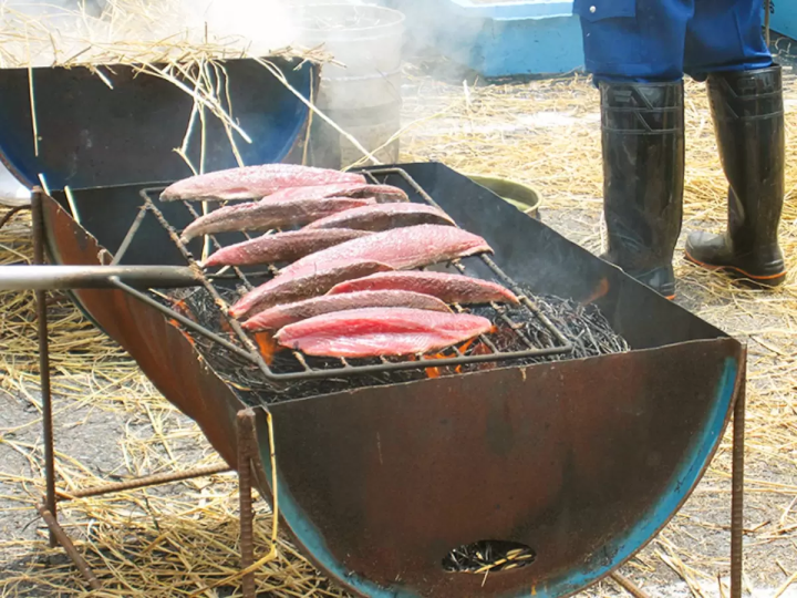 鰹魚愛好者的必去之地!來愛南鎮鰹魚節品嚐新鮮鰹魚吧!