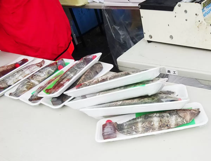 鰹魚愛好者的必去之地!來愛南鎮鰹魚節品嚐新鮮鰹魚吧!