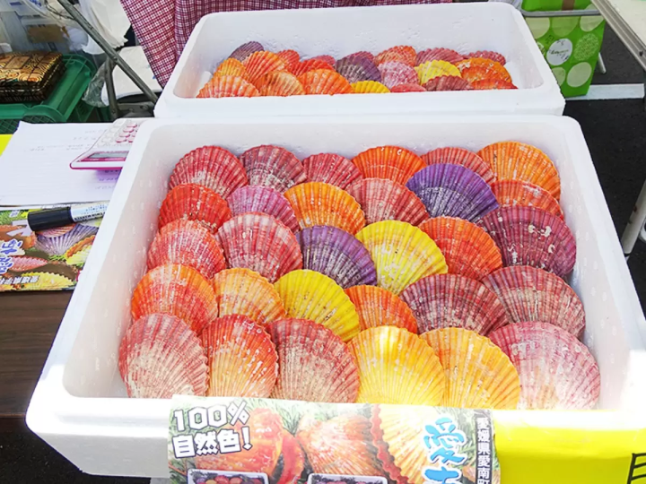 鰹魚愛好者的必去之地!來愛南鎮鰹魚節品嚐新鮮鰹魚吧!