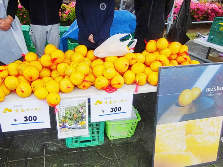 鰹魚愛好者的必去之地!來愛南鎮鰹魚節品嚐新鮮鰹魚吧!