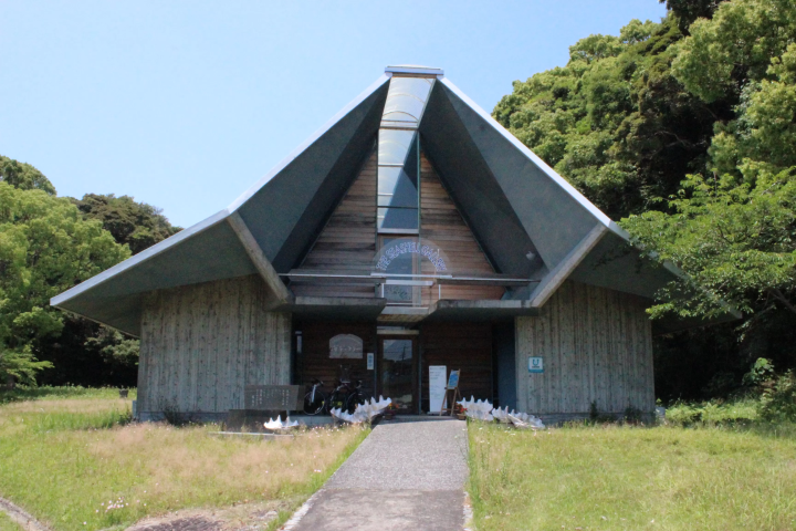 [ Tosashimizu City, Kochi Prefecture ] Rent a bicycle to explore Tosashimizu City, Western Tosashimizu City