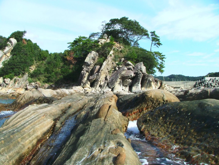 [ Tosashimizu City, Kochi Prefecture ] Rent a bicycle to explore Tosashimizu City, Western Tosashimizu City