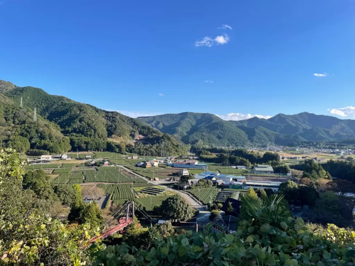 Taste Locally-Grown and Seasonal Ingredients in Matsusaka’s Iinan Region