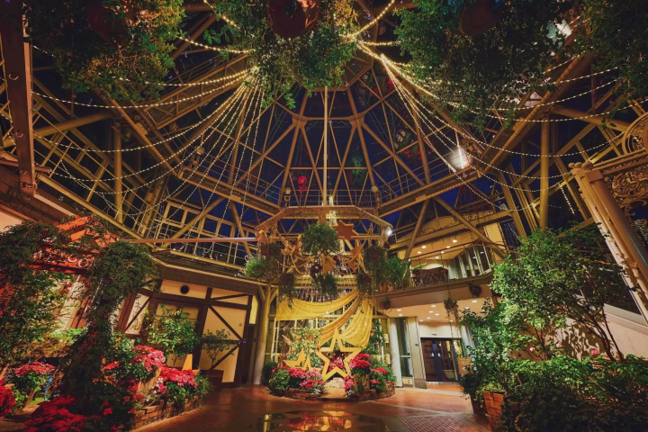 Kobe Christmas Market 2025: Best Views, Highlights, and Access Tips