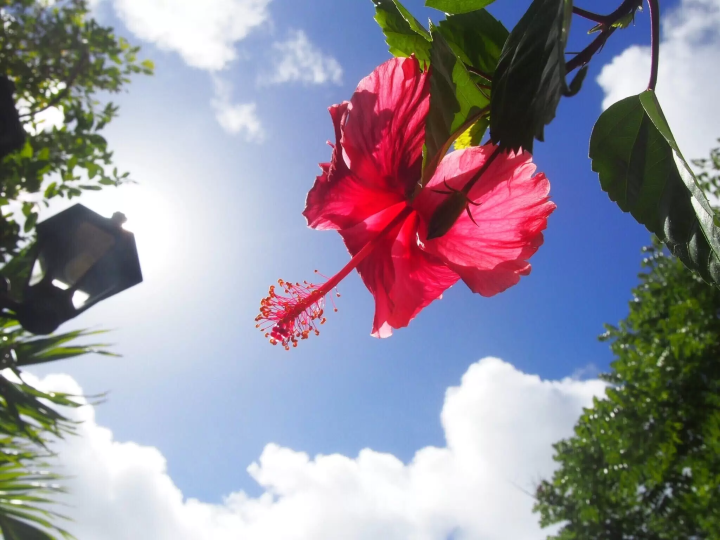 Image provided by: Citta Entertainment Co., Ltd.