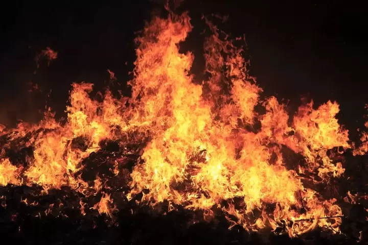 Matsutaki Matsuri in Sendai