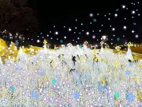 Namba Parks Illumination 2025 in Osaka: Highlights, Access, and More