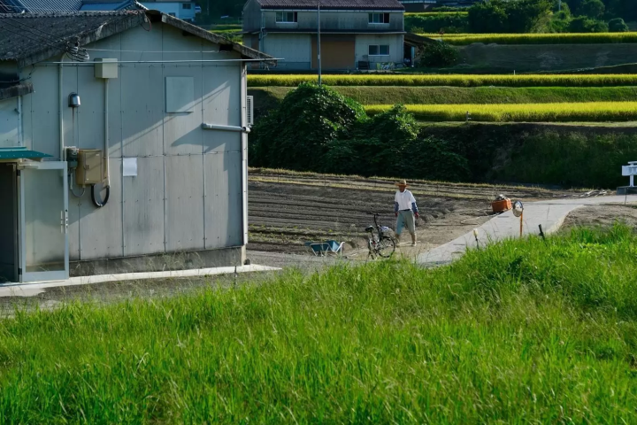 View from Awabiware laboratory – a worker tending rice fields at sunset in Omachi, Awaji Island