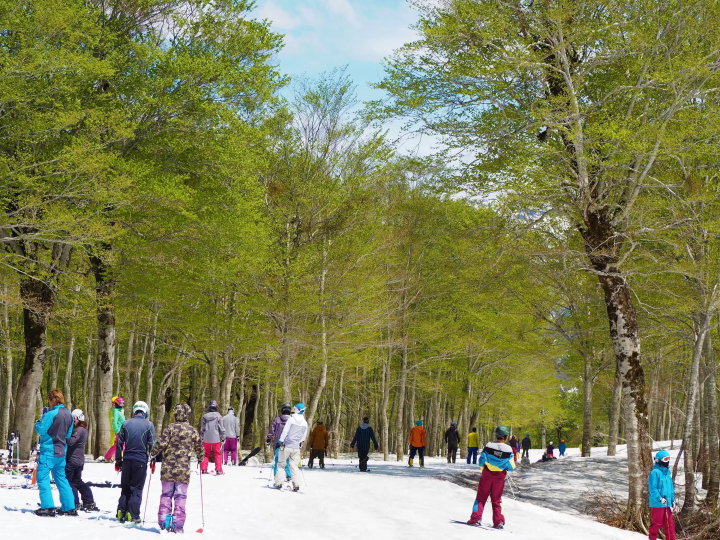 [2025-26 시즌] 우오누마시 스키장 가이드 | 4개 스키장의 특징과 매력 요약