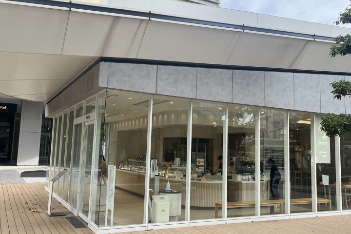 [Toyosu × Odaiba Illuminations] A Guide to Photogenic Winter Night Spots