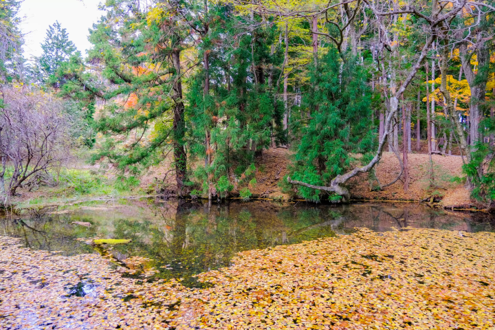 【福島】東京から2時間の隠れ家へ。二岐・岩瀬湯本・天栄温泉で過ごす極上の休日