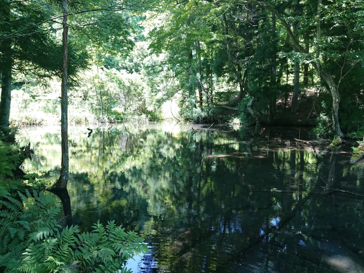 【福島】東京から2時間の隠れ家へ。二岐・岩瀬湯本・天栄温泉で過ごす極上の休日