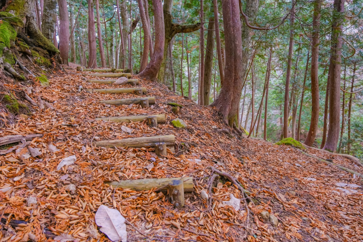 【福島】東京から2時間の隠れ家へ。二岐・岩瀬湯本・天栄温泉で過ごす極上の休日