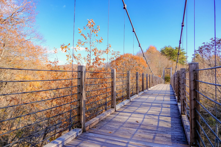[후쿠시마] 도쿄에서 2시간! 후타마타·이와세 유모토·덴에이 온천에서 즐기는 '찐' 힐링 여행