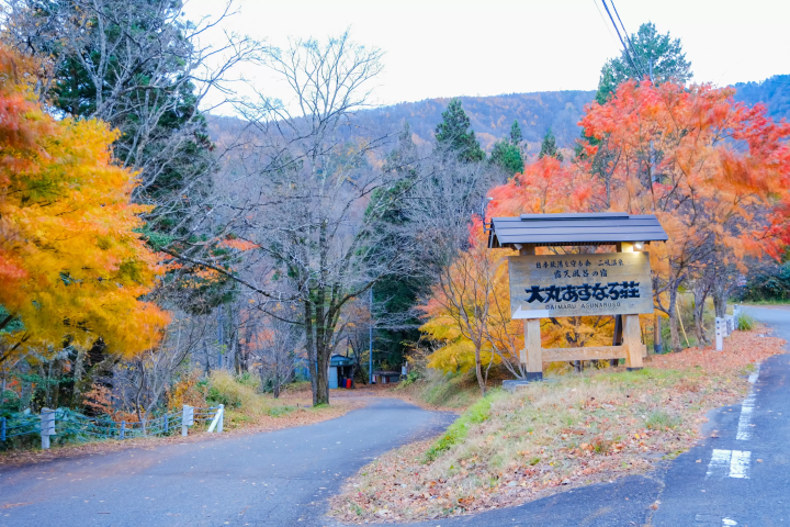 [후쿠시마] 도쿄에서 2시간! 후타마타·이와세 유모토·덴에이 온천에서 즐기는 '찐' 힐링 여행