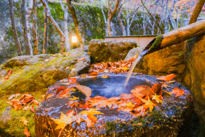 [후쿠시마] 도쿄에서 2시간! 후타마타·이와세 유모토·덴에이 온천에서 즐기는 '찐' 힐링 여행