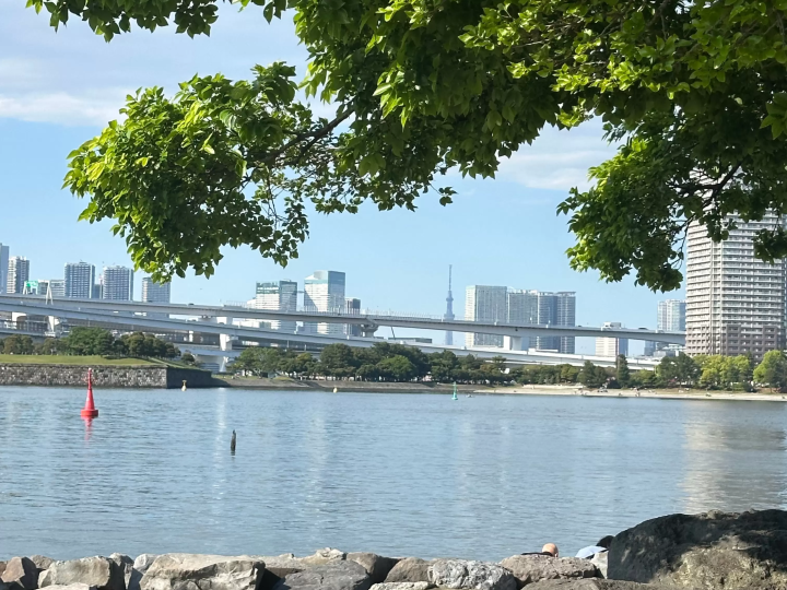 Best Things to Do in Odaiba: Popular Attractions & Food Guide