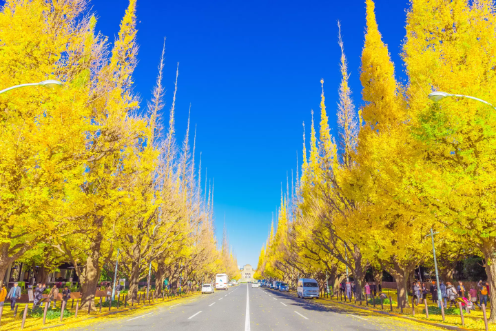 神宮外苑前賞銀杏必訪！時尚咖啡廳11選推薦 享受美食與獨處時光