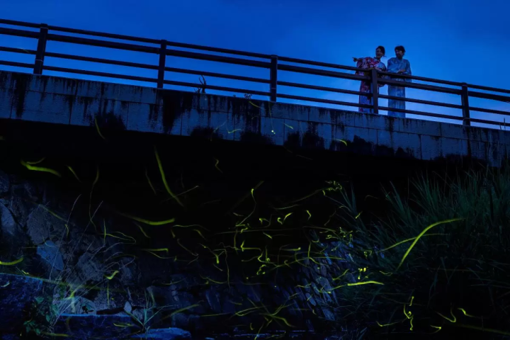 Daiya River River Park (Yunogo Onsen Hotarugawa)<br>