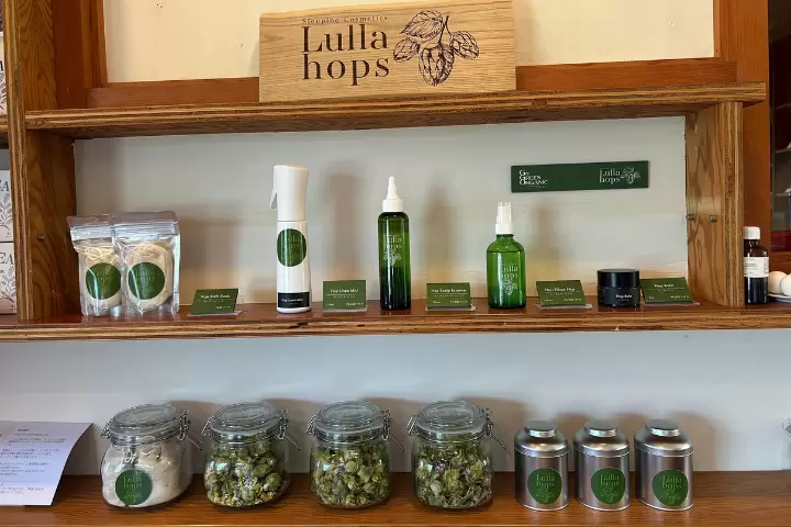 [山梨/北杜市] 2026年即将开业的4个热门新景点