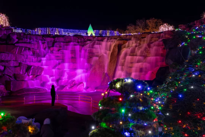 四國香川冬季必看燈飾「讃岐滿濃公園Winter Fantasy 2025」光影×科技海洋3D秀